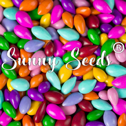 Rainbow Sunny Seeds