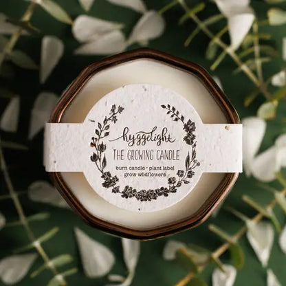 Astrid | Growing Candle, flower seed-label, gift idea - Apple & Pine