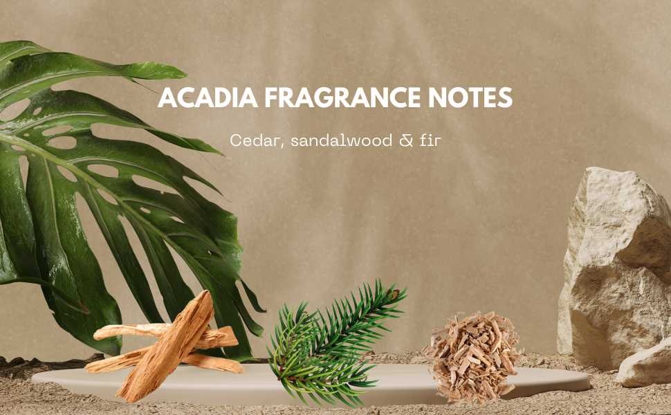 Acadia Beard Oil
