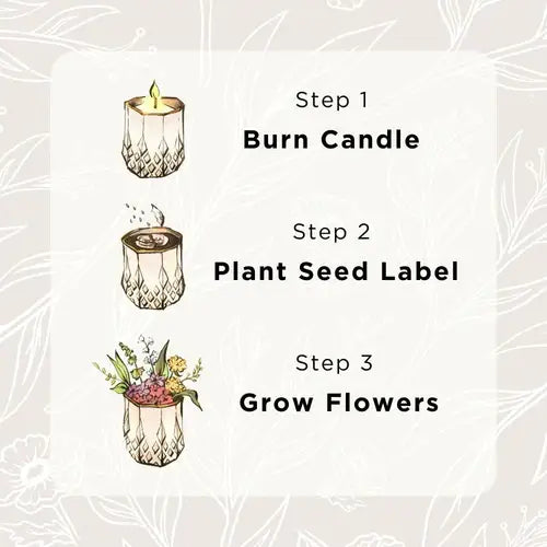 Clara | Growing Candle, flower seed-label, gift idea: Apples + Cinnamon