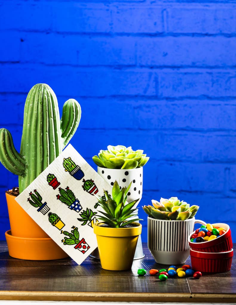 Cactus Pots Swedish Cloth