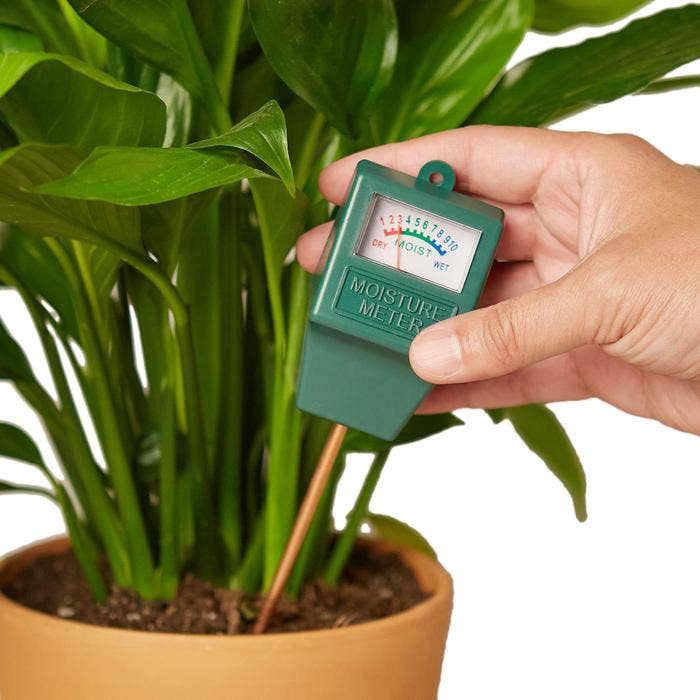 MOISTURE METER