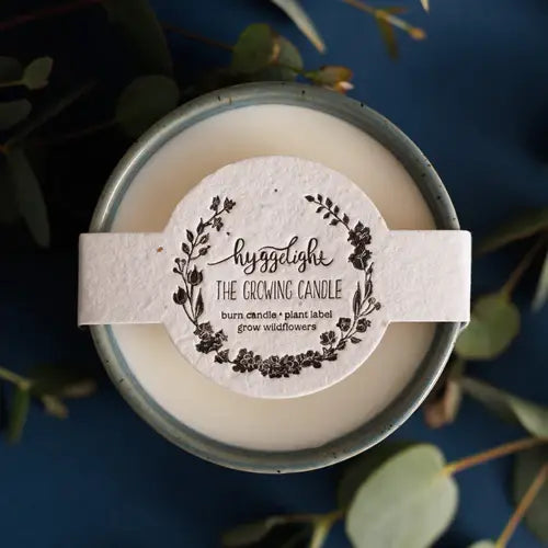 Willow | Growing Candle, flower seed-label, gift idea