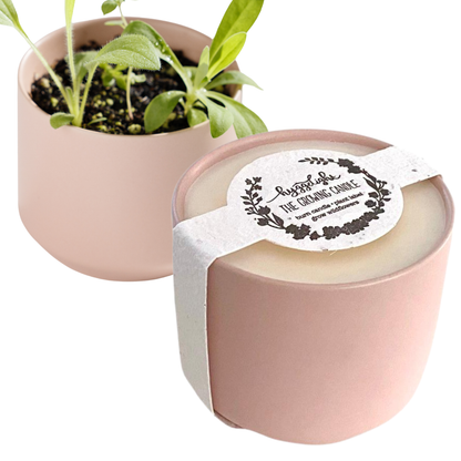 Adelyn | Growing Candle, flower seed-label, eco-friendly