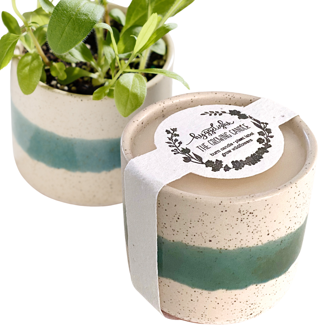 Edith | Growing Candles, flower seed-label, eco-friendly