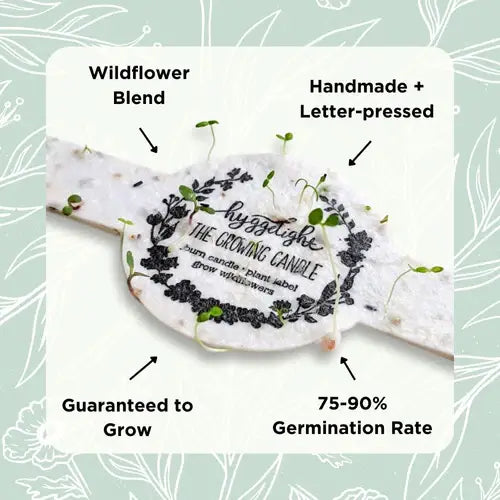 Clara | Growing Candle, flower seed-label, gift idea