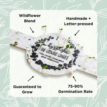 Willow | Growing Candle, flower seed-label, gifts, candles: Lavender